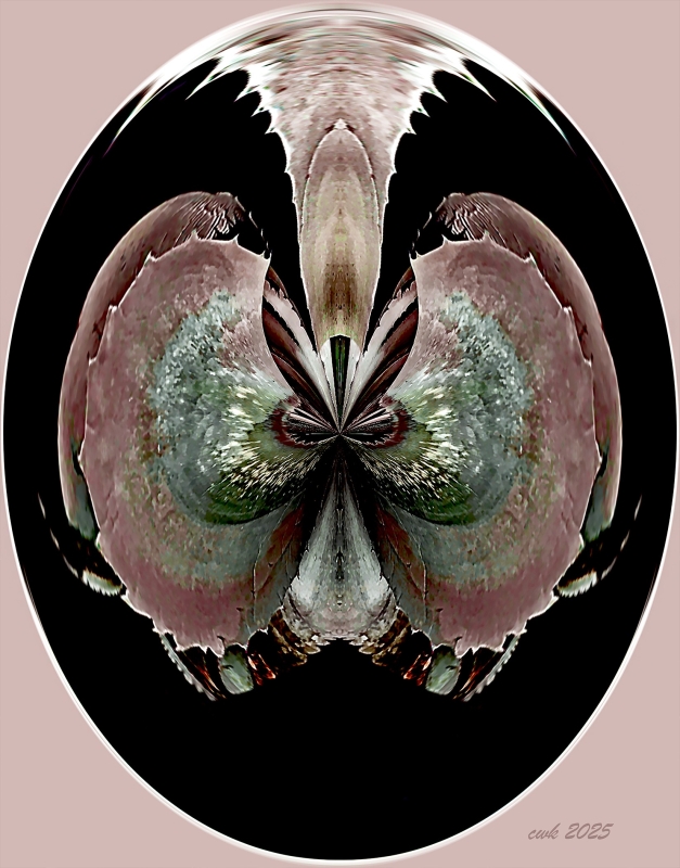 Big Bunny by artist Charlie Kreitler